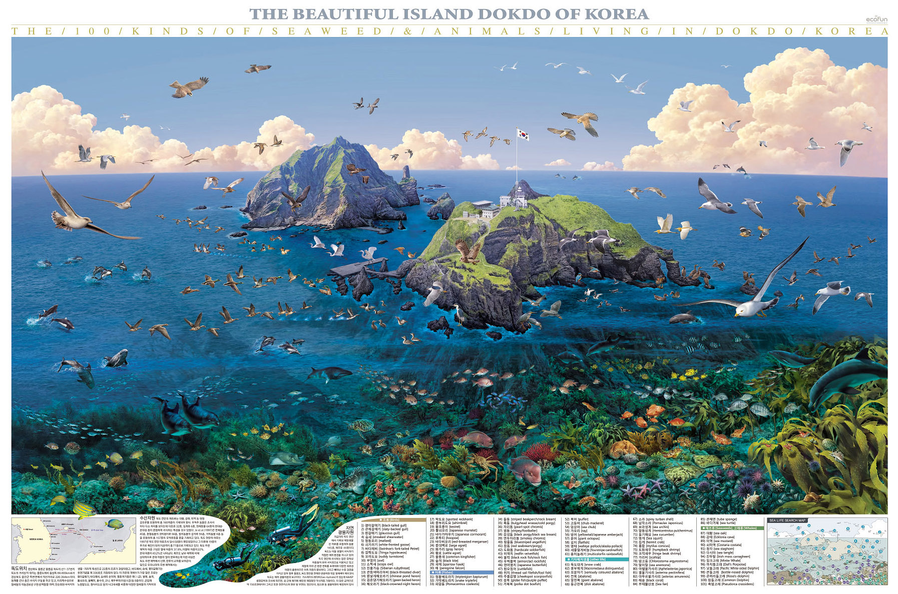 Dokdo marine life guide map